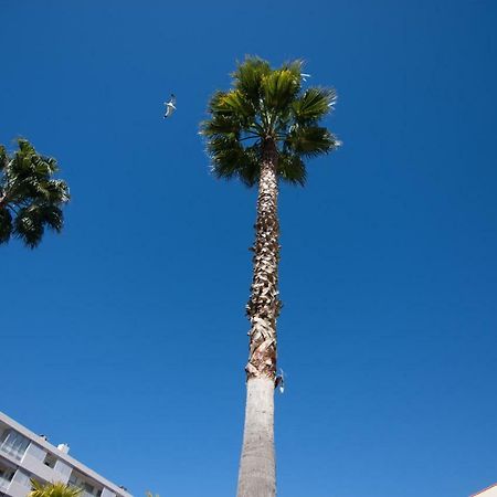 Le Parc Pointe Croisette Διαμέρισμα Κάννες Εξωτερικό φωτογραφία