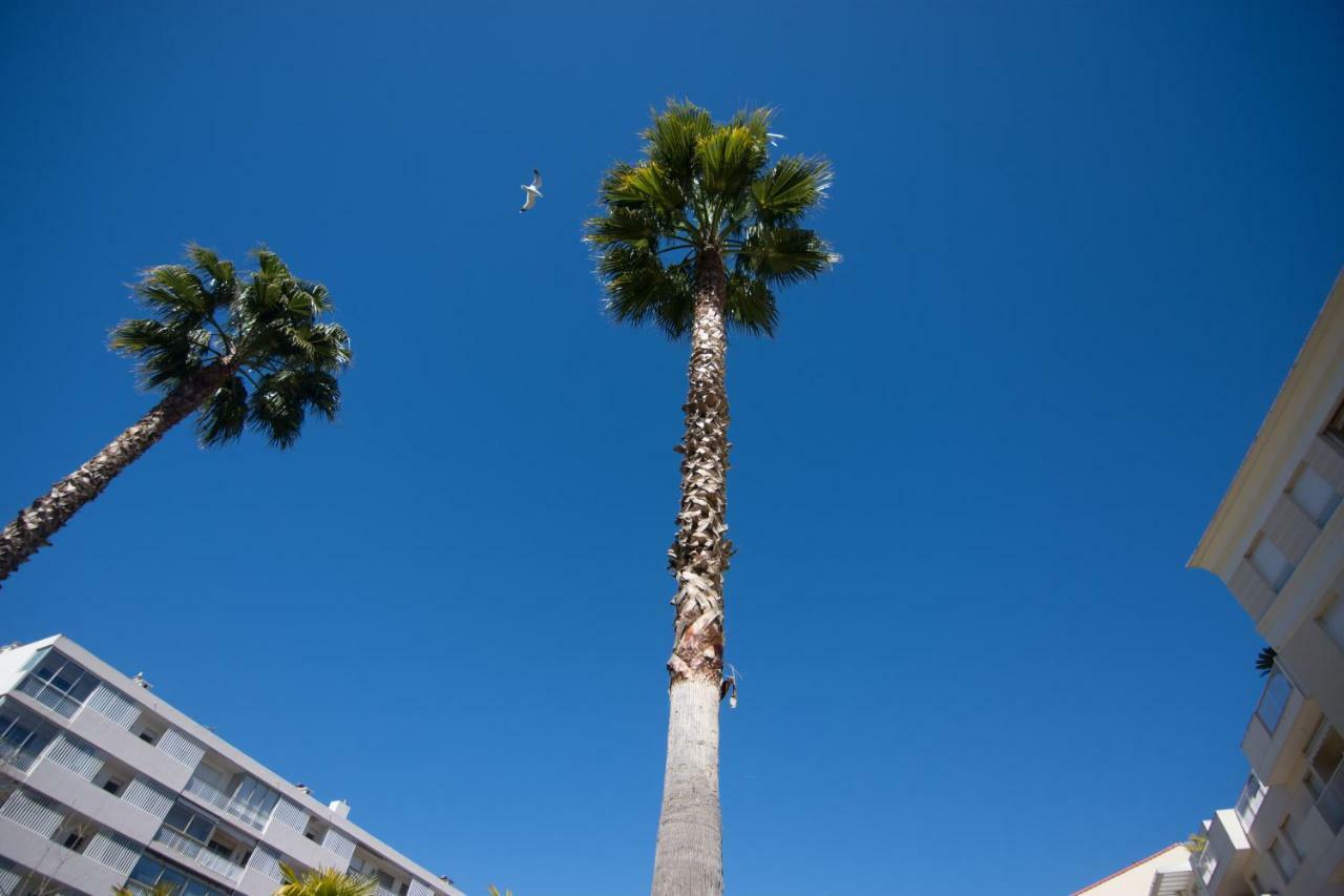 Le Parc Pointe Croisette Διαμέρισμα Κάννες Εξωτερικό φωτογραφία